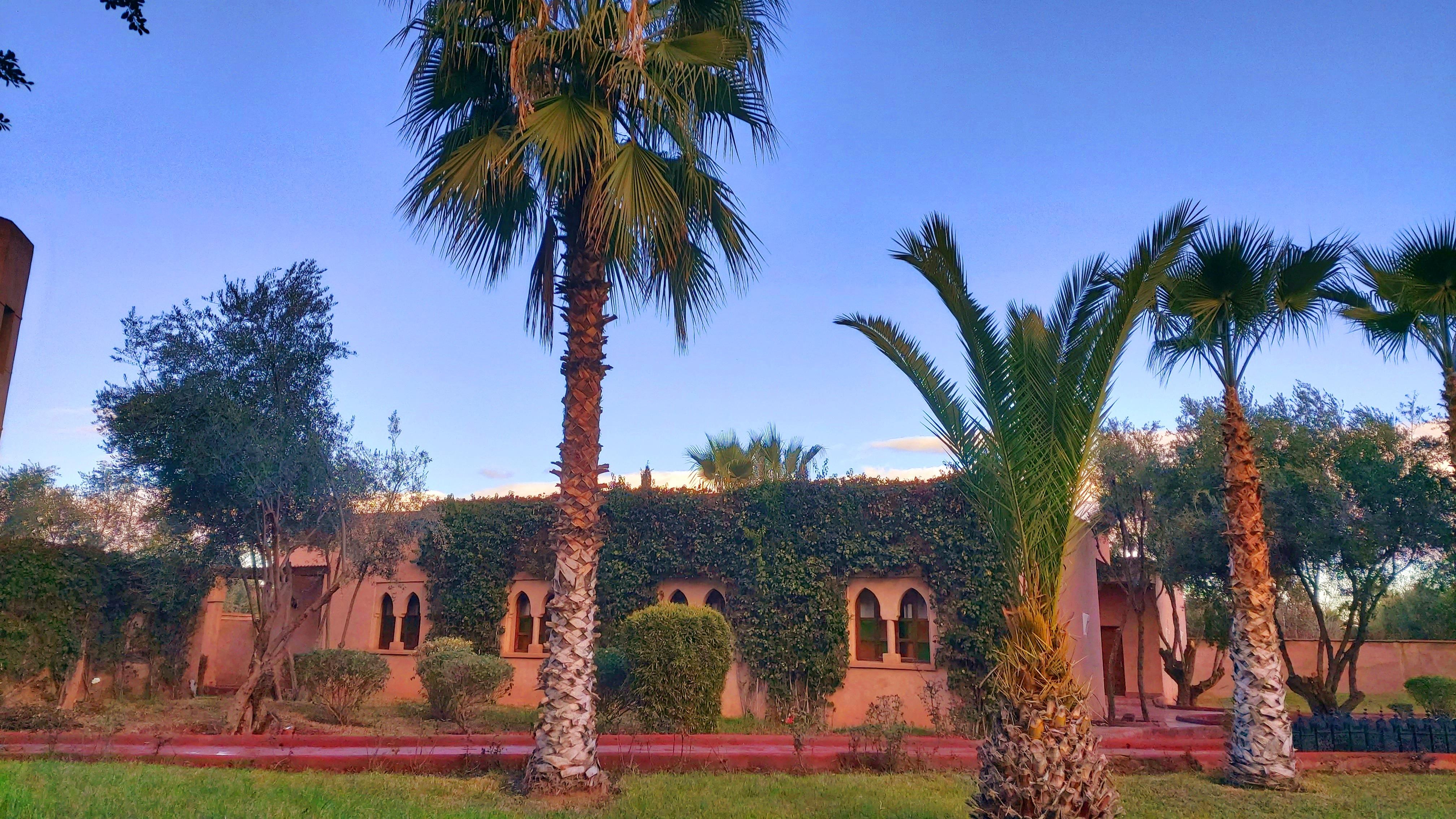 La Maison Des Oliviers Lagouassem Exteriér fotografie